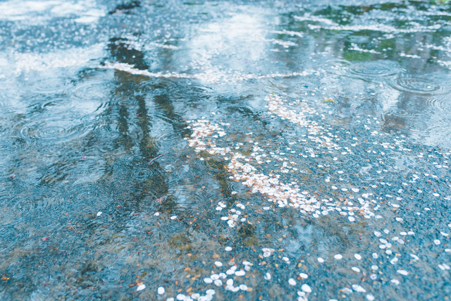 雨の日の運転で視界が悪くなる理由